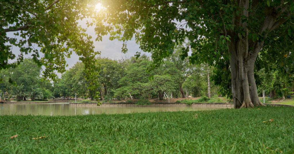 印西市の街並みと共に100年。竹内建設が提案する、地域に愛される「企業の顔」づくり